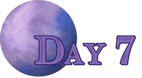 Day 7